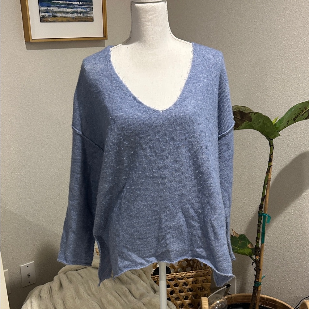 Pinch Soft Blue V-Neck Sweater